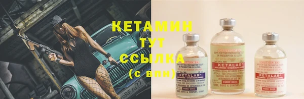 шишки Заволжск