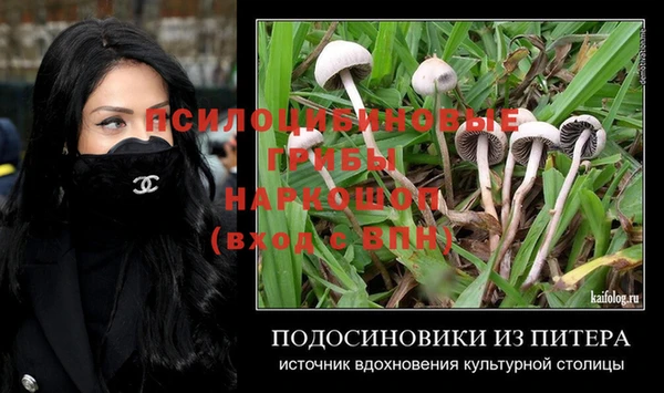 соль ск Заводоуковск