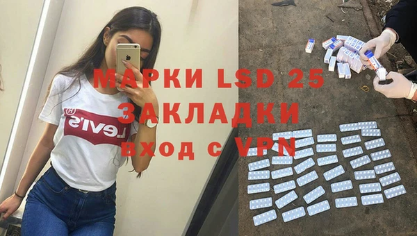 шишки Заволжск