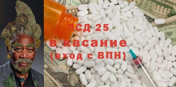 шишки Заволжск