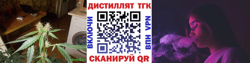 Купить  Кедровый  ТГК жижа 