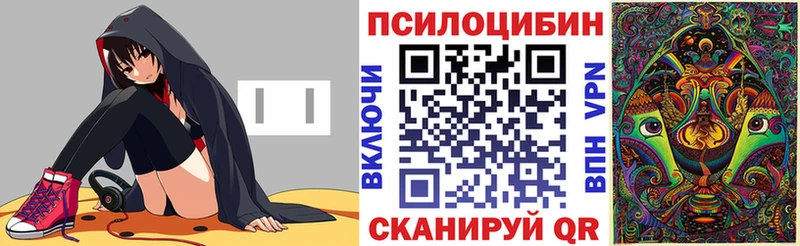 Галлюциногенные грибы MAGIC MUSHROOMS  Купить где  Кедровый 